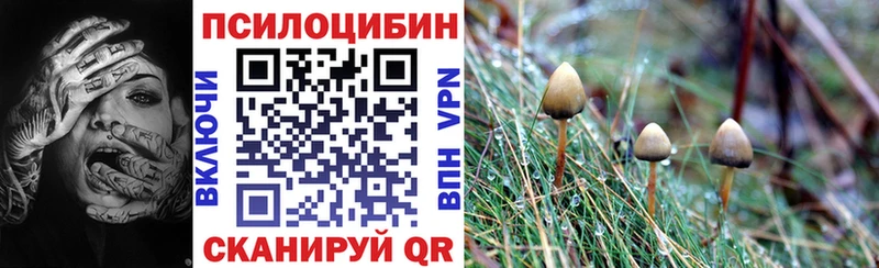 Галлюциногенные грибы Psilocybine cubensis  Купить закладки  Белогорск 